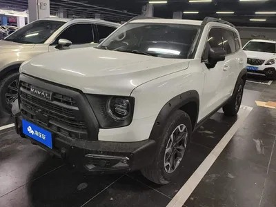 2024 Haval Big Dog 2.0T DCT Chinese Rural Dog Edition, фото 1, лот 11203662