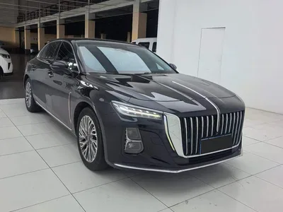 2023 Hongqi H5 2.0T Auto Smart Connect Flag Comfort, фото 3, лот 10887436