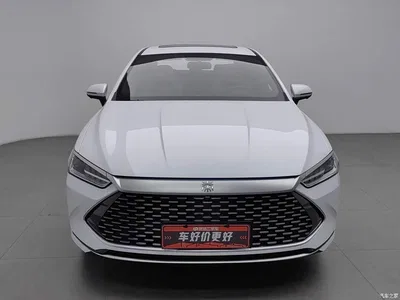 2023 BYD Qin PLUS Champion Edition DM-i 120KM Surpassing Type, фото 3, лот 10391635