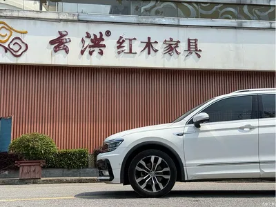 2020 Volkswagen Tiguan L 330TSI Auto 2WD R-Line Flagship China VI, фото 3, лот 10260577