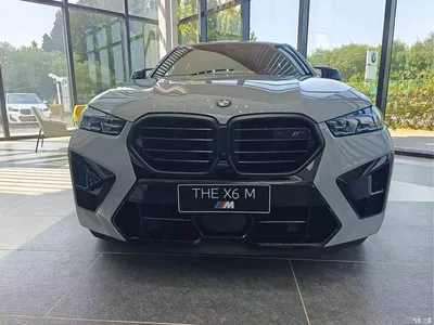 2023 BMW X6 M Model X6 M Thunder Edition, фото 2, лот 11437420