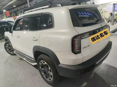 2021 Haval Big Dog 2.0T DCT 4WD Chinese Rural Dog Edition, фото 4, лот 11138265