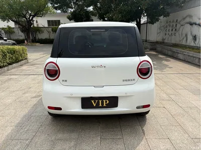 2022 Changan Qiyuan Changan Lumin 210km Sweet Edition, фото 4, лот 11195116
