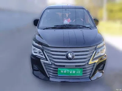 2023 Dongfeng Lingzhi M5L 1.6L Base Model 5-Seater, фото 2, лот 11582454