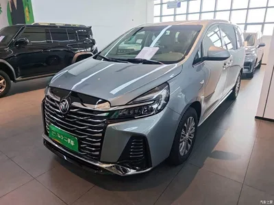 2023 Buick GL8 Land Business Class 652T Luxury, фото 1, лот 10259062