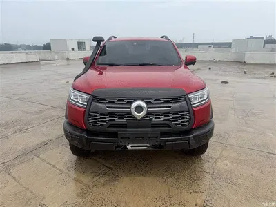 2020 Great Wall Pao 2.0T Off-Road Auto Gasoline 4WD Premium Edition GW4C20B, фото 2, лот 10246270