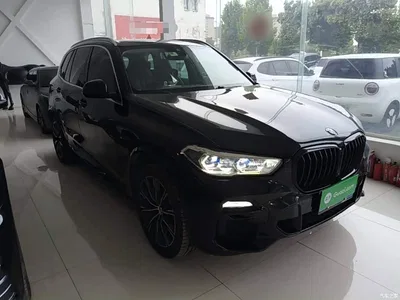 2020 BMW X5 (Import) xDrive40i M Sport Package, фото 4, лот 10662392