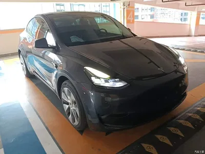 2021 Tesla Model Y Model Long Range AWD, фото 4, лот 10370422