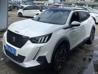 2020 Peugeot 2008, фото 1, лот 10244531