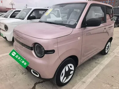 2025 Geely Galaxy Panda mini 210km Vitality Bear, фото 2, лот 10433348