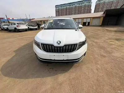 2025 Škoda Kamiq 1.5L Automatic Comfort Edition, фото 1, лот 10349146