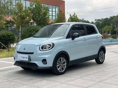 2024 Leapmotor T03 403 Comfort Edition, фото 1, лот 10407384