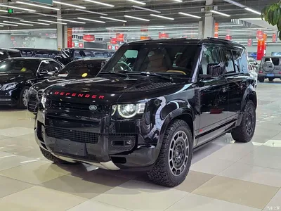 2024 Land Rover Defender 110 5.0T V8, фото 1, лот 10324776