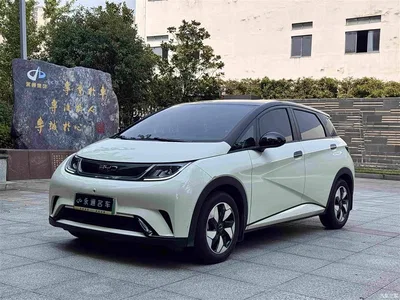 2023 BYD Dolphin 420km Freedom Edition, фото 1, лот 10629526