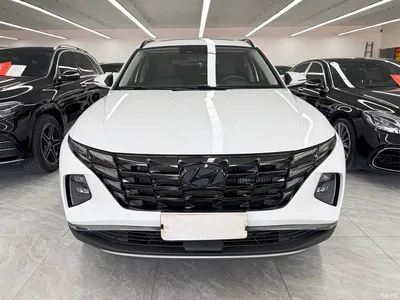 2023 Hyundai Tucson L 1.5T Automatic 2WD DLX Luxury Edition, фото 2, лот 10837077