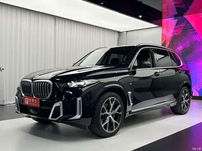 2025 BMW X5 Model xDrive 30Li Exclusive M Sport Blackout Package, фото 1, лот 10421946