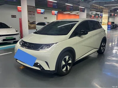 2025 BYD Dolphin 420km Freedom Edition, фото 1, лот 10254545