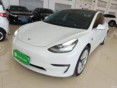 2019 Tesla Model 3 (Import) Long Range RWD Version, фото 1, лот 10369444