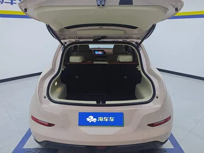2023 Ora Good Cat 401km Standard Range Honor Edition (LFP), фото 4, лот 10331549