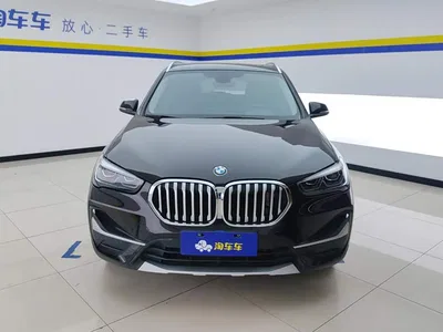 2020 BMW X1 sDrive20Li Premium Edition, фото 2, лот 11200553