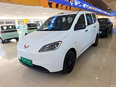 2024 Wuling Motors Wuling Hongguang New Energy Pure Electric 300KM Standard, фото 1, лот 11167185
