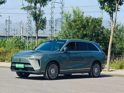 2025 WEY Lanshan AWD Max, фото 3, лот 10451936