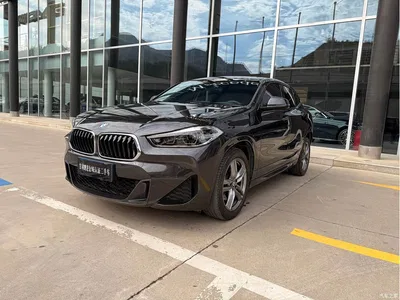 2021 BMW X2 sDrive25i Leading M Sport Package, фото 1, лот 10398622