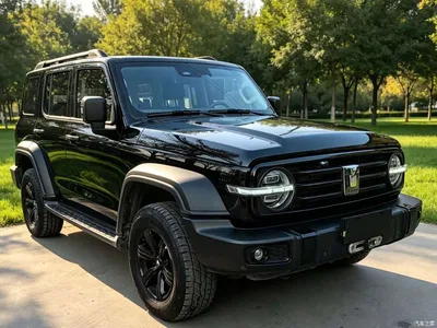 2021 Tank 300 Off-road Version 2.0T Conqueror, фото 3, лот 10323870