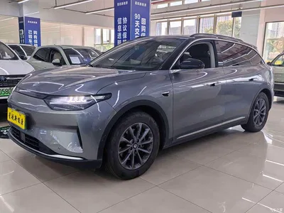 2021 Leapmotor C11 Luxury Edition, фото 1, лот 10482235