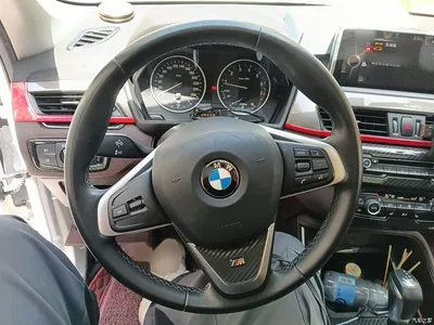 2016 BMW X1 sDrive20Li Luxury Model, фото 3, лот 10468317