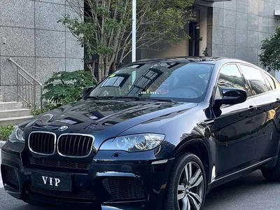 2010 BMW X6 M, фото 1, лот 10477112