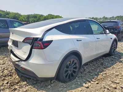 2023 TESLA MODEL Y, фото 3, лот 10664759