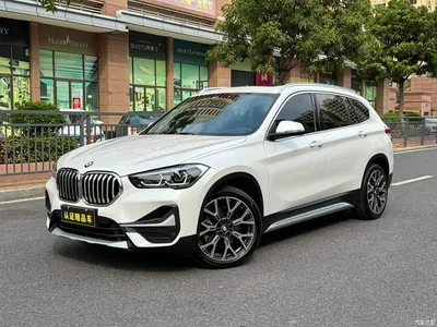 2020 BMW X1 xDrive25Li Premium Edition, фото 1, лот 10396042