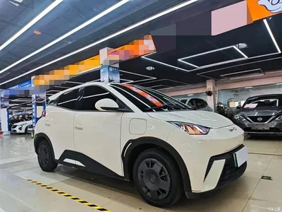 2023 BYD Seagull Vitality Edition, фото 3, лот 11081900