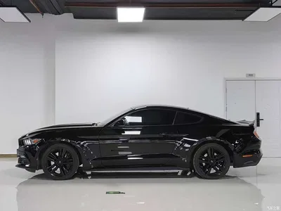 2015 Ford Mustang 2.3T Performance Edition, фото 4, лот 10294907