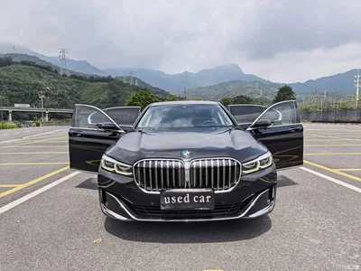 2019 BMW 7 Series Facelift 730Li Luxury Package, фото 2, лот 10390984