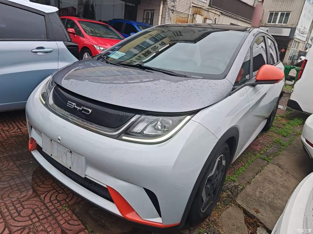 2021 BYD Dolphin Model 405km Fashion Edition, фото 1, лот 11219646