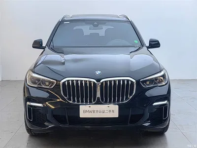 2022 BMW X5 Facelift xDrive 40Li M Sport Package, фото 2, лот 10410478