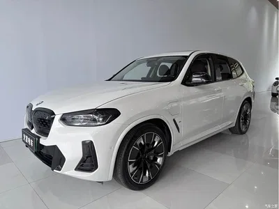 2023 BMW iX3 Pioneer Type, фото 1, лот 10475027