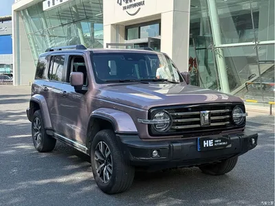2023 Tank 300 Urban Edition 2.0T Very Stylish, фото 3, лот 10344186
