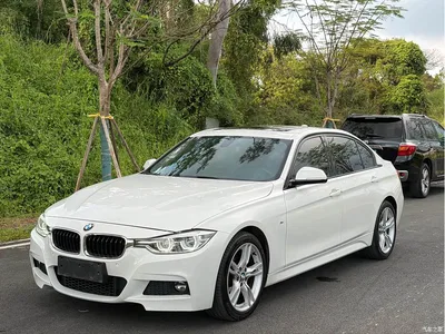 2019 BMW 3 Series 320Li M Sport Package, фото 1, лот 11535653