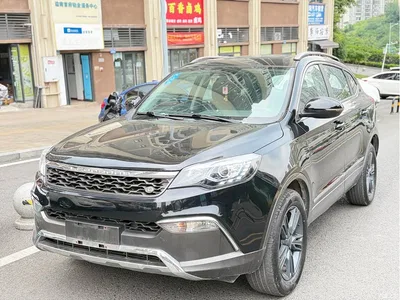 2017 Leopaard CS10 Model 2.0T Automatic Urban Edition, фото 1, лот 11646047