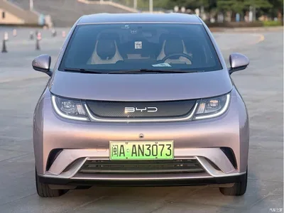 2021 BYD Dolphin 405km Freedom Edition, фото 2, лот 11138660