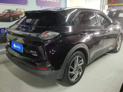 2021 Nezha Auto Neta U Pro 500 Lunar Edition, фото 3, лот 10386595