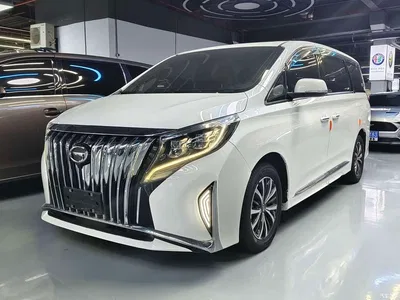 2021 GAC Trumpchi Trumpchi M8 Leading Show Series 390T Luxury Edition, фото 1, лот 10334781