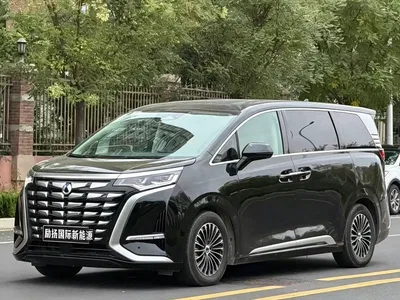 2024 Denza D9 DM-i 970 Luxury, фото 1, лот 11140966