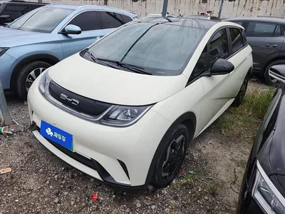 2021 BYD Dolphin Model 405km Fashion Edition, фото 1, лот 10250622