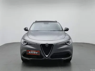 2017 Alfa Romeo Stelvio 2.0T 200HP Luxury Edition, фото 3, лот 10239842