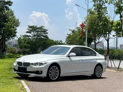 2019 BMW 3 Series 320Li Fashion Type, фото 1, лот 11579142