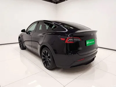 2021 Tesla Model Y Standard Range Rear-Wheel Drive, фото 4, лот 11201849